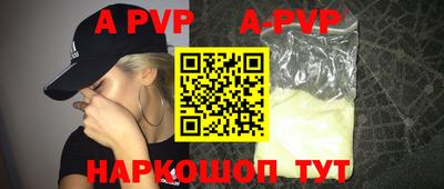 стаф Кингисепп