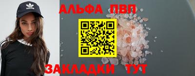 стаф Кингисепп