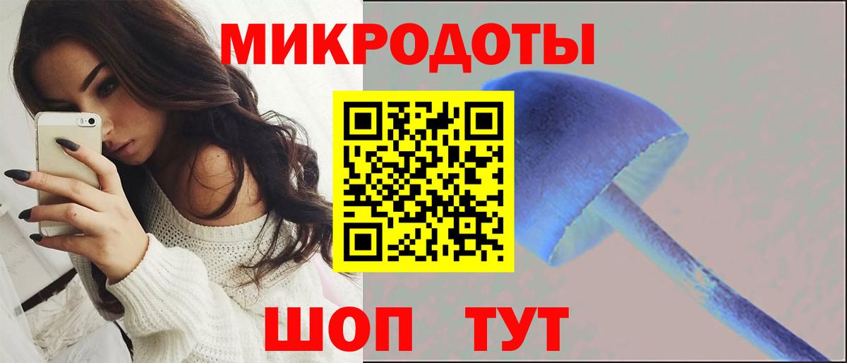 Галлюциногенные грибы Psilocybe Кудымкар